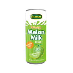 VITAMAX FLAVOUR MILK DRINK MELON (240ML)