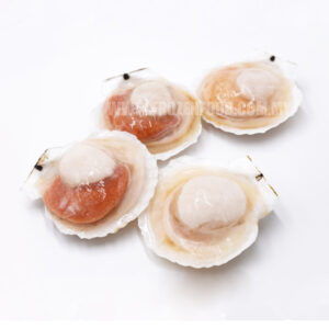KANIKA 1/2 SHELL SCALLOP 10-12CM (1KG)