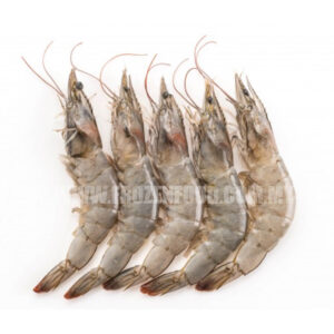 CCP SABAH VANNAMEI HEAD ON SEMI-IQF