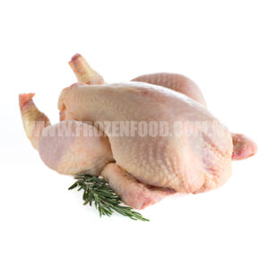 FROZEN FREE RANGE CHICKEN 走地鸡