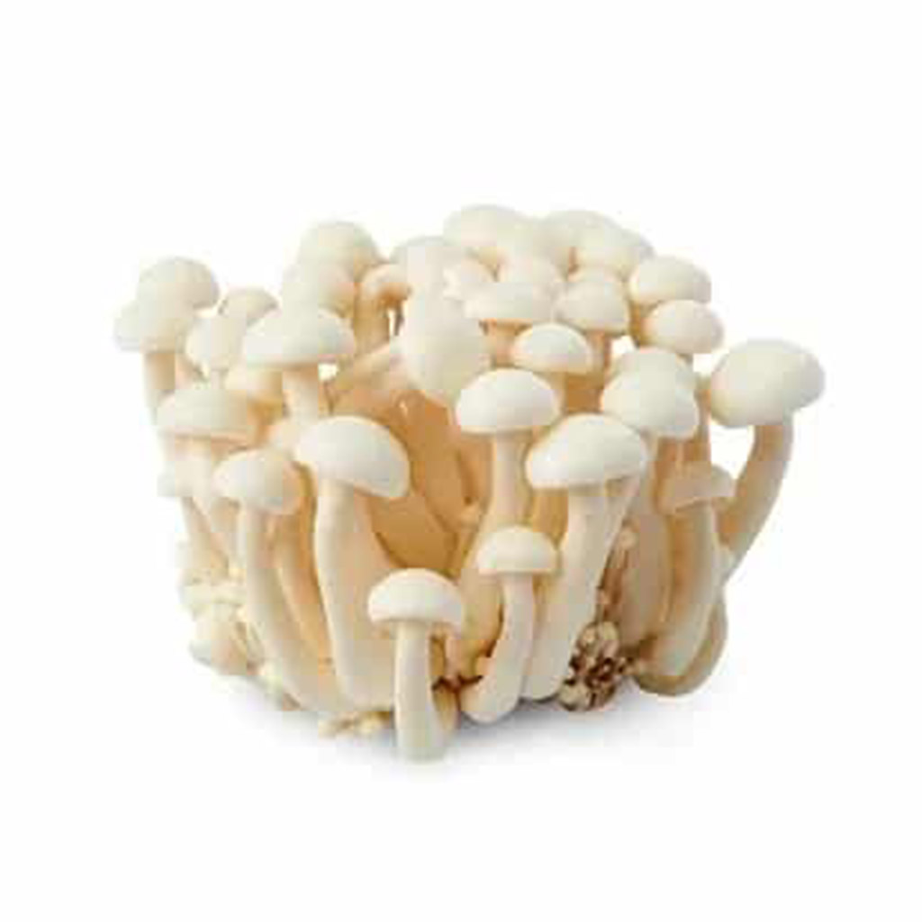 SHIMEJI MUSHROOM 白玉菇 Frozen Food Best Priced Quality Delivery Ipoh